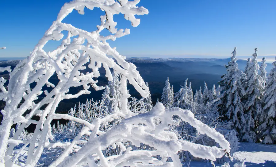 Bayerischer_Wald_Skiurlaub