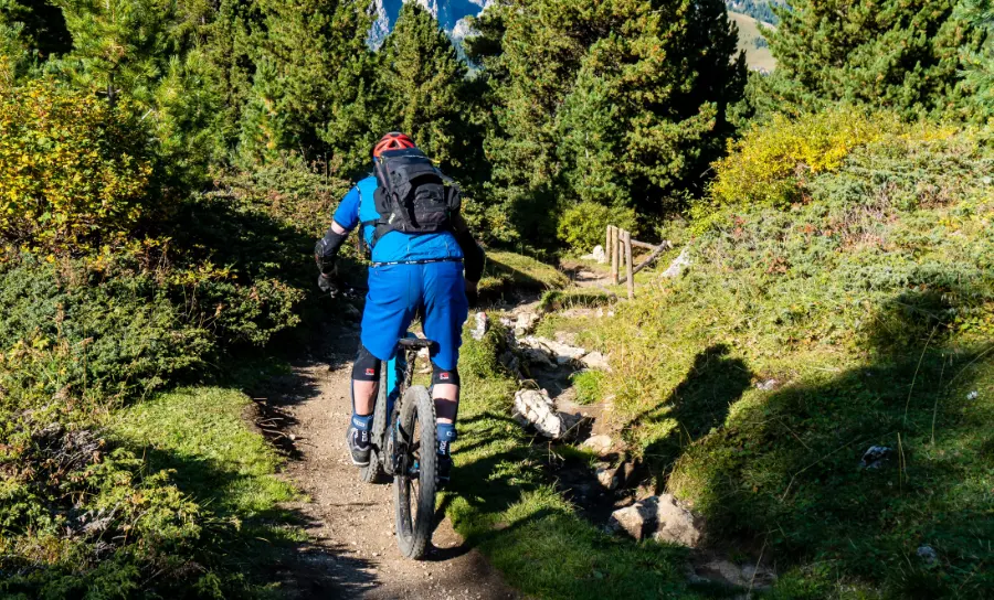 Mountainbike-Tour_Bayerischer_Wald