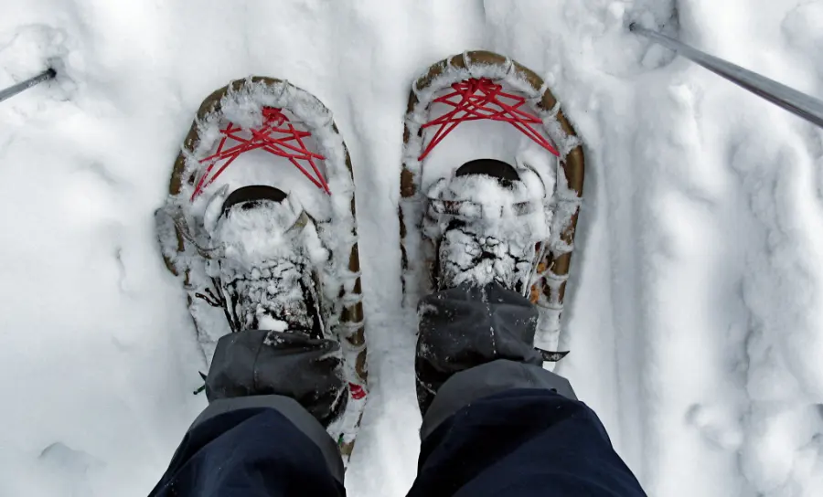 Schneeschuhtour_Bayerischer_Wald