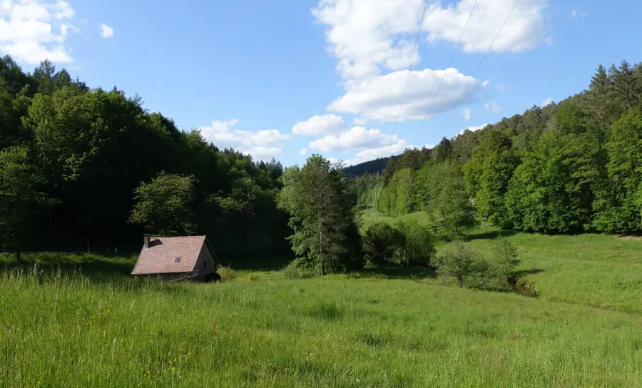 Wandern_Bayerischer_Wald