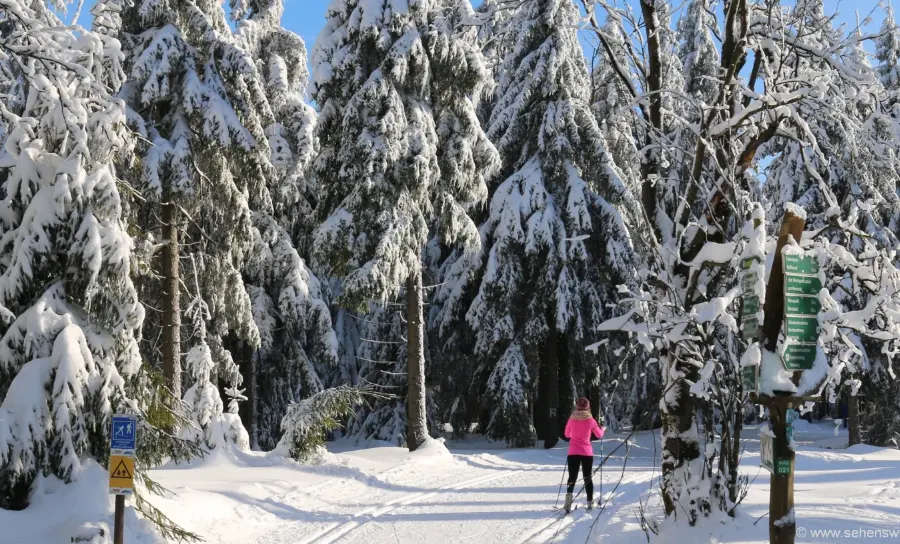 langlaufurlaub-bayerischer-wald-langlaufen-niederbayern