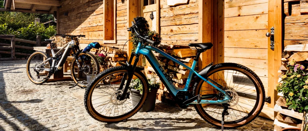 romantikhuette-luxus-chalets-bayerischer-wald-e-bike-touren-panorama-1920