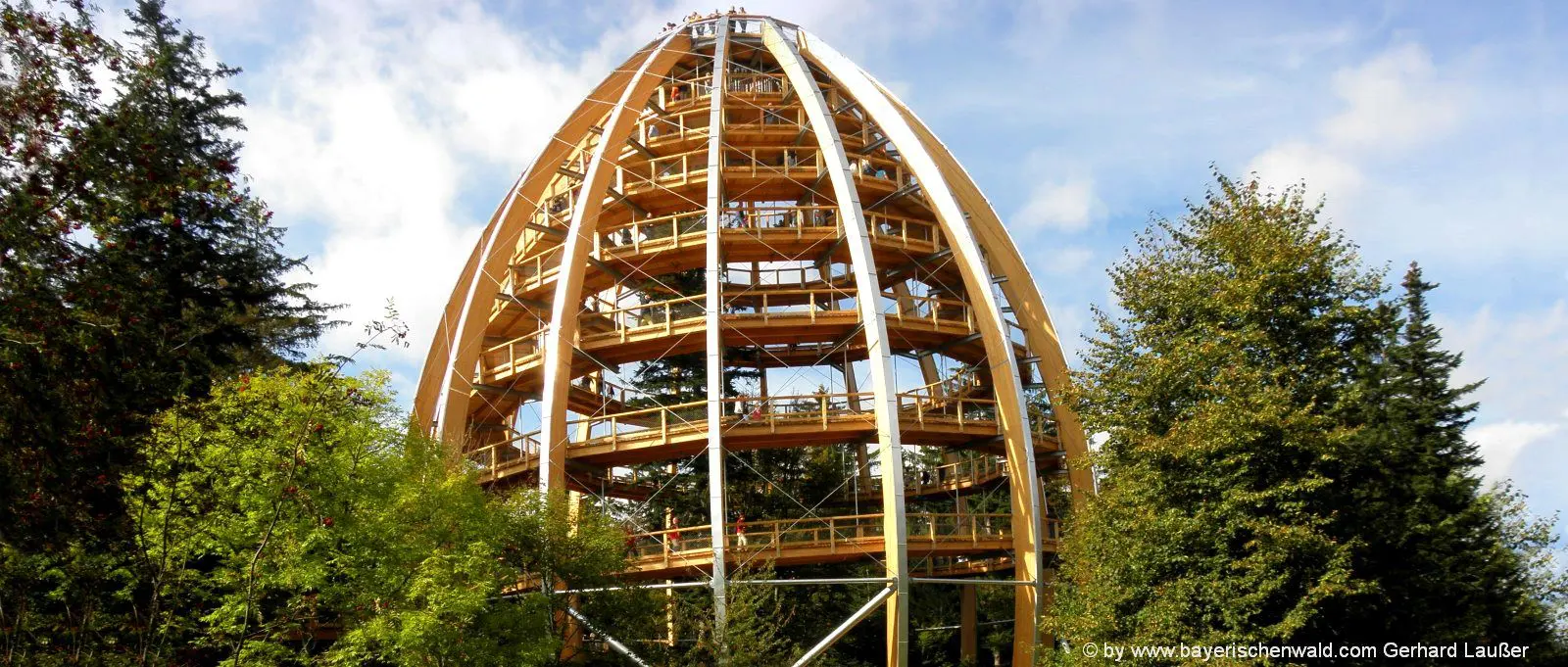 sehenswuerdigkeiten-bayerischer-wald-baumwipfelpfad-ausflugsziele-1600